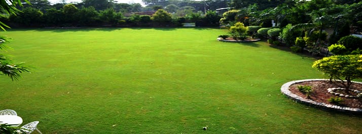 2184/Master Farms - Zirakpur 09.jpg